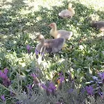 'o B&B 포츠올리