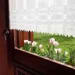 'o B&B 포츠올리