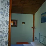 'o
