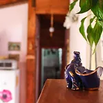 'o B&B