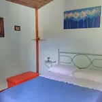 'o
