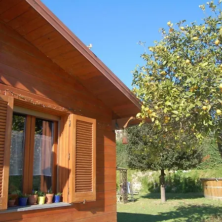 住宿加早餐酒店 'o