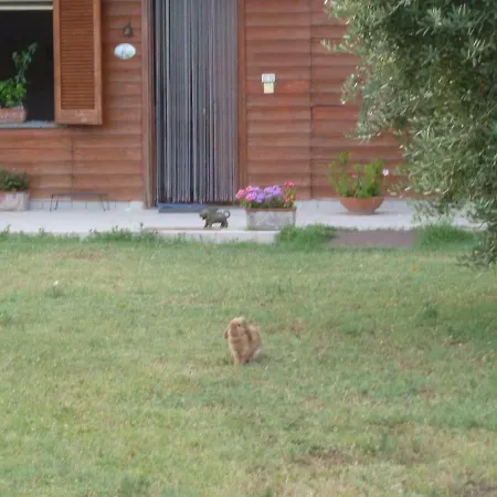 住宿加早餐酒店 'o 4*