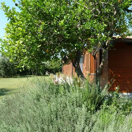 'o 住宿加早餐酒店 波佐利
