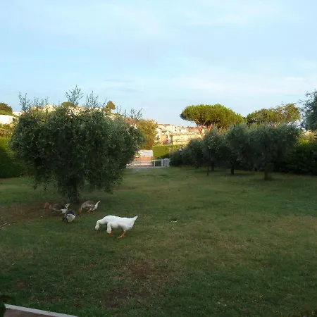 'o 住宿加早餐酒店 波佐利